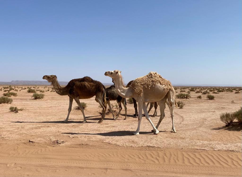 Casa Familia Leilighet Zagora Eksteriør bilde